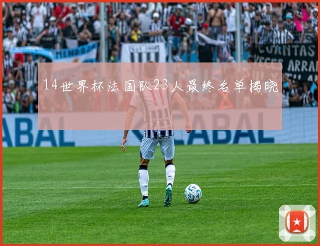 14世界杯法国队23人最终名单揭晓